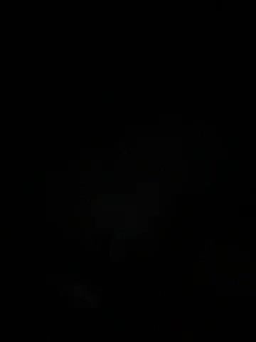 Petition · Punish Aubreigh Wyatt’s bullies - United States · Change.org